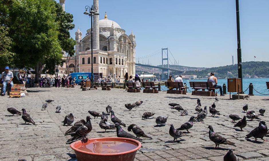 Pigeons gather near a bowl filled with water to cool off at Ortaköy Square, with Istanbul landmarks Grand Mecidiye Mosque and July 15 Martyrs Bridge (Bosporus Bridge) in the background, on June 30, 2017. Photo: Sabah, Kübra Usta