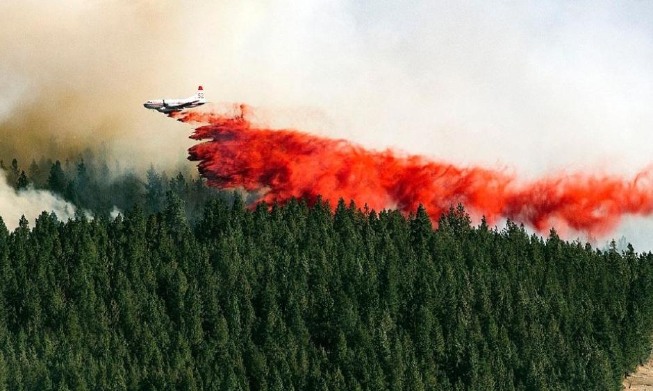 A plane drops a load of fire retardant on the north side of Beacon Hill, Sunday, Aug 21, 2016, in Spokane, Wash. The fast moving wildfire is threatening structures as it moves in a north-easterly direction. Photo: Colin Mulvany / The Spokesman-Review, via AP