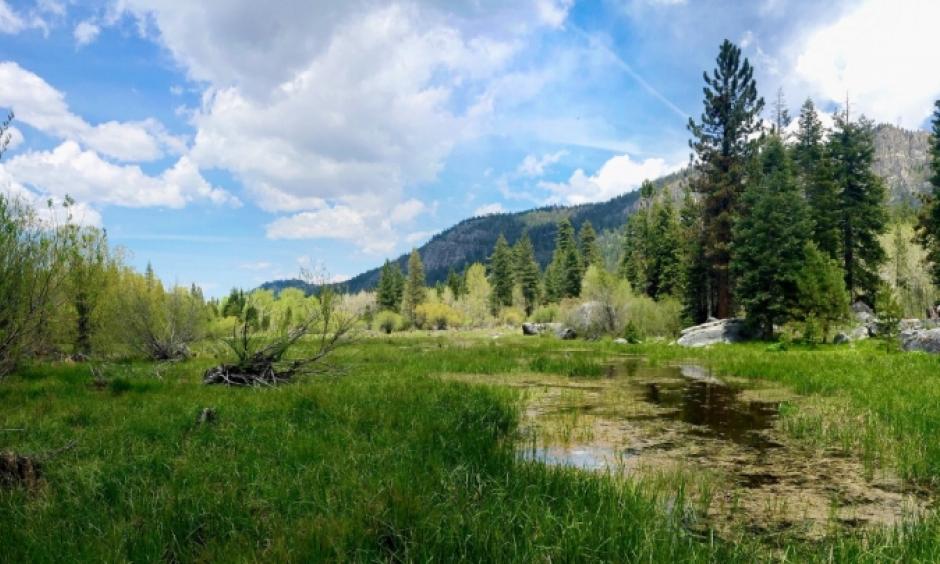 Snow-free conditions in late May near Lake Tahoe in the northern Sierra Nevada. Photo: jcookfisher/Flickr