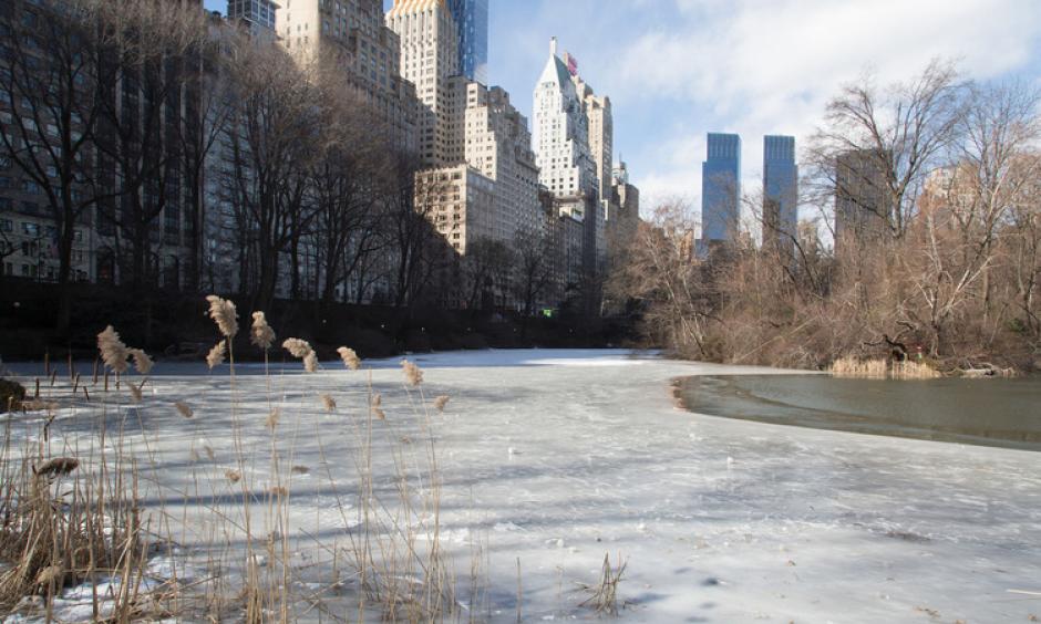 A lake freezes over in Central Park on Feb. 13. Photo: Pacific Press, LightRocket via Getty Images