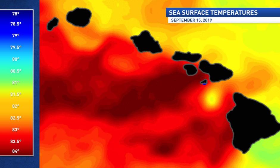 Sea Surface Temperatures September 15, 2019