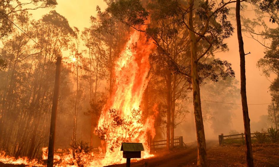 Fire burns a fence in Werombi, 30 miles southwest of Sydney. Credit: Mick Tsikas/EPA-EFE/REX/Shutterstock