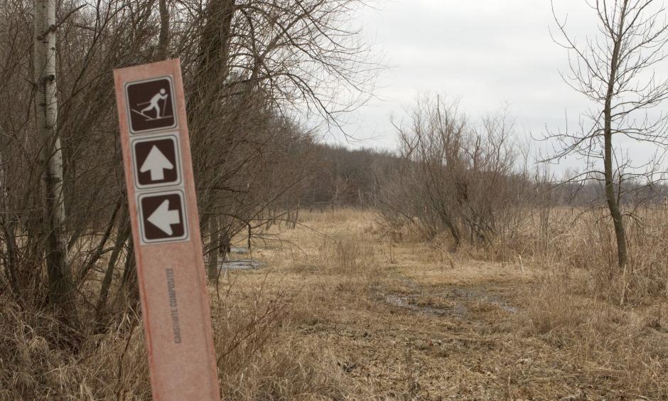 The cross country trails are bare -- and damp -- at the Snail Lake Regional Park in Shoreview on March 5, 2017. Photo: Regina McCombs | MPR News