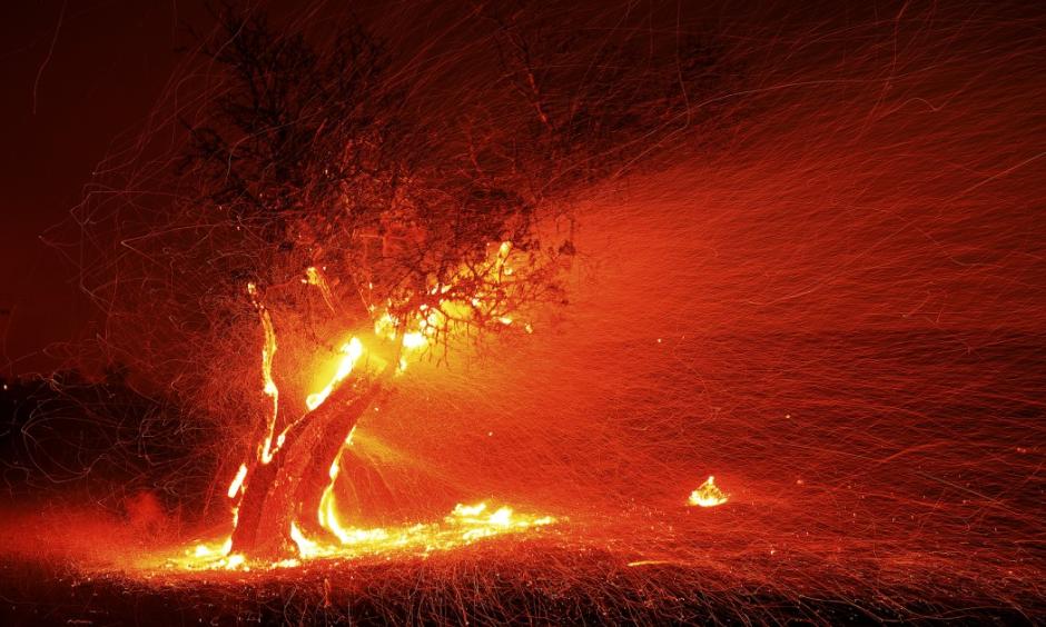 climate change driven wildfire