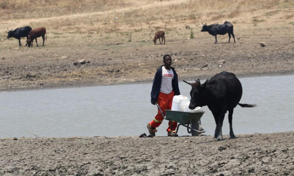A youth fetches water from a dam near Mount Darwin, Zimbabwe, Oct. 26, 2016. Photo: Reuters