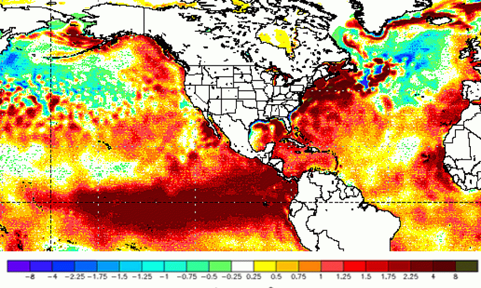 Sea surface temperature difference from average, Jan. 12, 2016. Image: NOAA