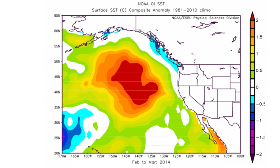 The Blob as captured in NOAA imaging in 2014. Image: NOAA