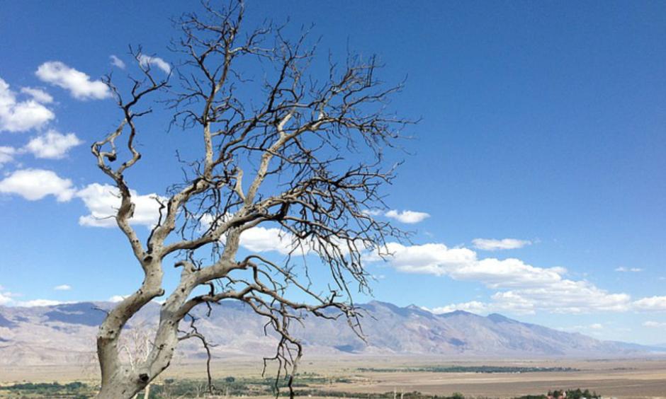 California Drought. Image Credit: Pixabay