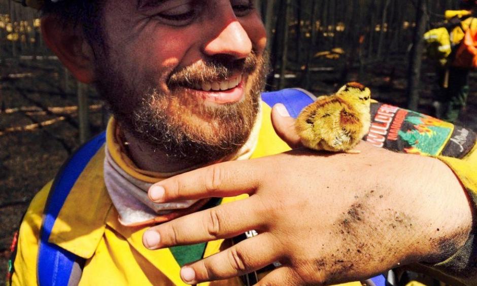 Check out our #ABfire firefighter and his new friend he made on the #YMM fireline. Meet Jari! #FacesofFirefighting. Photo: @AlbertaWildfire