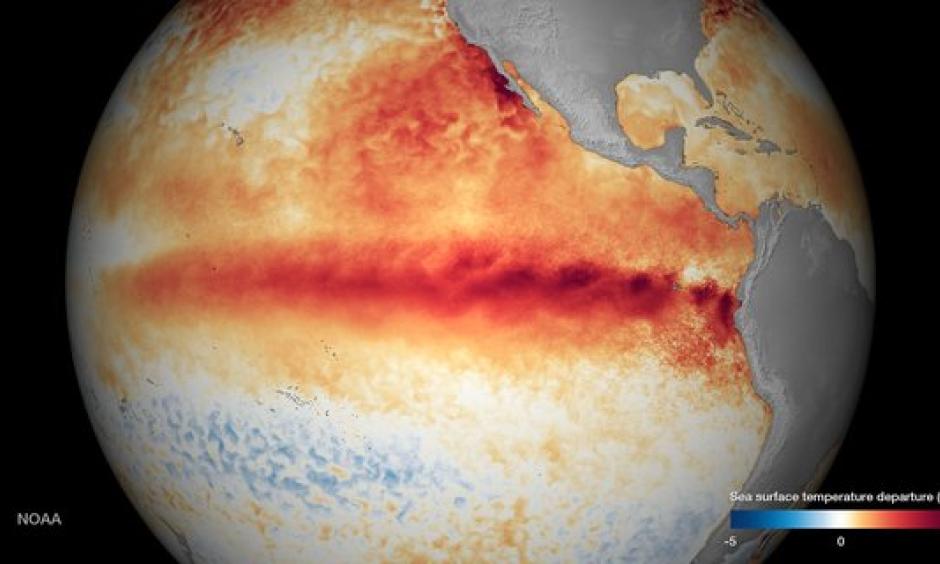 El Nino 2015-16, NOAA