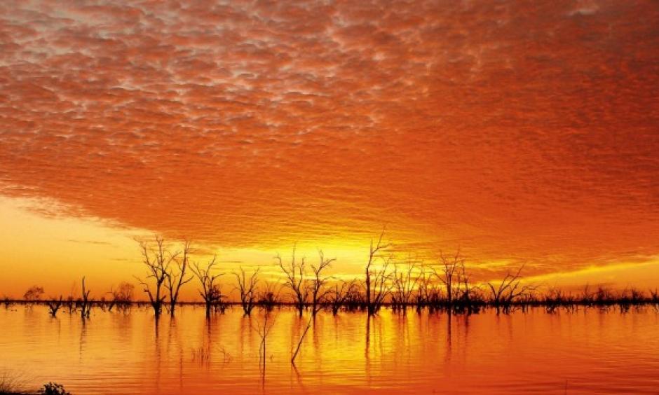 Record temperatures for another month - this time October. Photo: Tony Derix, BoM