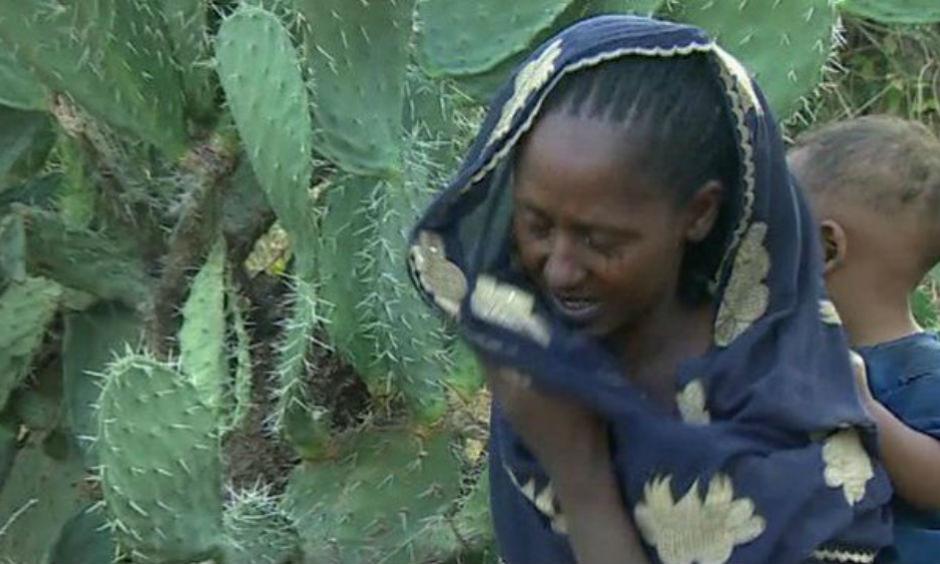 The Ethiopian government has set aside nearly £130m to deal with the crisis. Photo: BBC