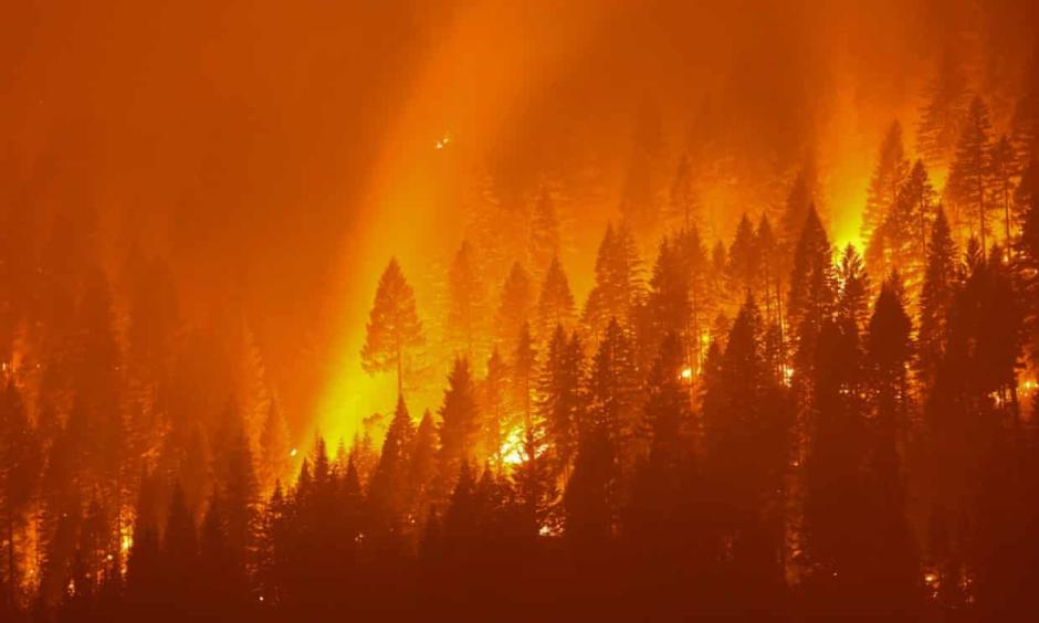 The Dixie fire ranked as the second-largest California wildfire on record - surpassed only by the million-acre-plus August Complex fire of 2020. (Photo Credit: David Swanson/Reuters)