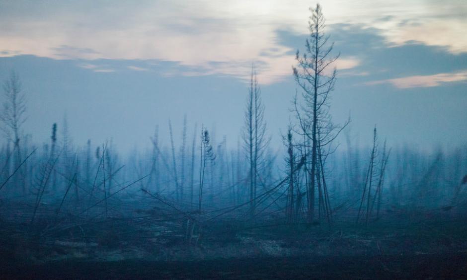 Charred trees near Fort McMurray, in Alberta, Canada. Climate change is a prime suspect in a rise of wildfires in the boreal forest. Photo: Ian Willms, The New York Times