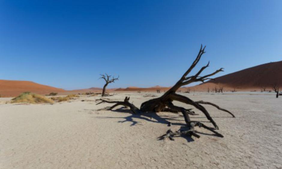 South Africa’s biggest city, Johannesburg, and the capital, Pretoria, recorded their hottest day ever on Tuesday. (Image:Moneyweb)