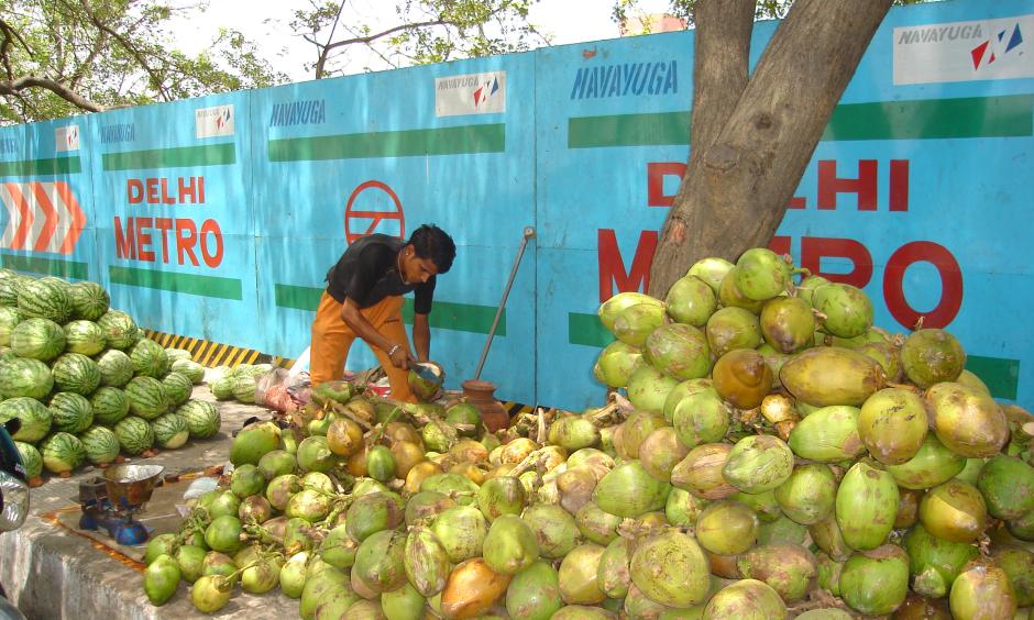 Green Coconut Vendor in India in Summer. Photo: ankurjain