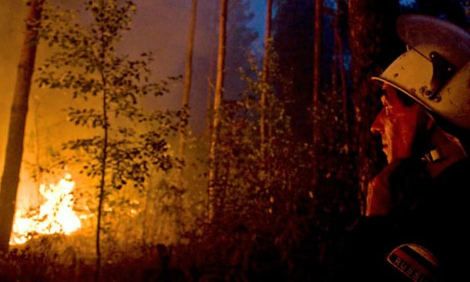 2010 saw a number of extreme weather events, including a summer heatwave which sparked wildfires in Russia. Photograph: Associated Press AP