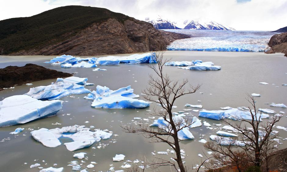 Icebergs, Grey Glacier, Patagonia, Chile. Image Credit: Dimitry B.