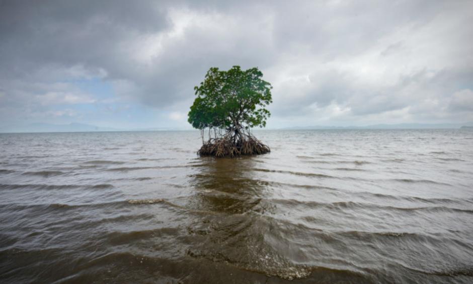 PHOTOGRAPH BY KADIR VAN LOHUIZEN / NOOR