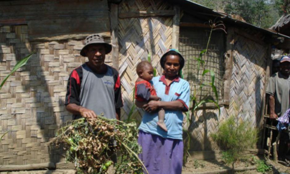Villagers in Avaninofi in Papua New Guinea's Eastern Highlands Province display tomato plants which have perished during this year's severe drought. Photo: Catherine Wilson, IPS