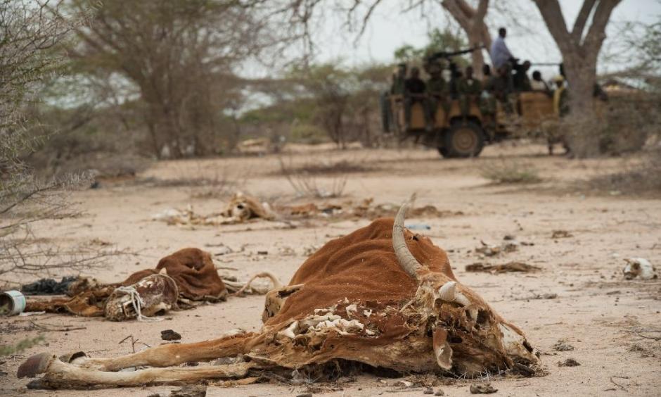 Severe drought and conflict in Somalia caused a famine in 2010-2012 that eventually killed a quarter of a million people Photo: AFP, Phil Moore