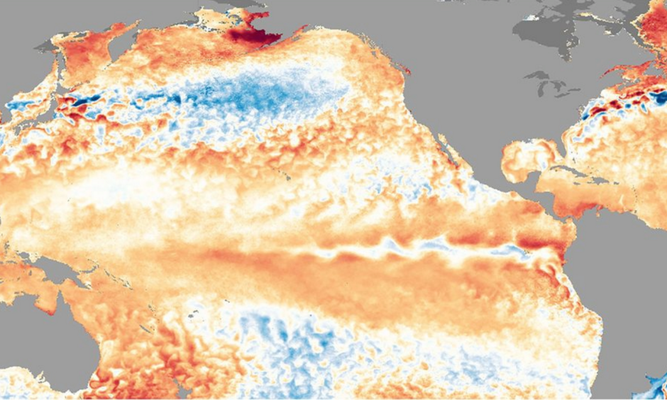 Sea surface temperature anomalies on May 12, 2016. Image: NOAA