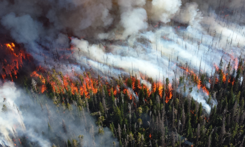 Photo: Climate Central