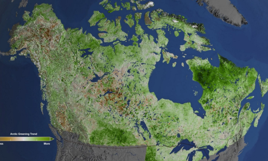 Using 29 years of data from Landsat satellites, researchers at NASA have found extensive greening in the vegetation across Alaska and Canada. Rapidly increasing temperatures in the Arctic have led to longer growing seasons and changing soil for plants. Image: Cindy Starr / NASA’s Goddard Space Flight Center