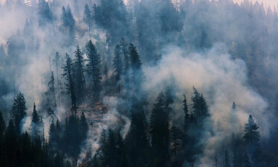 The Blue Creek wildfire, burning near Walla Walla, Wash., this month. Photo: Ruth Fremson, The New York Times