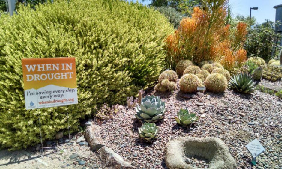 A plant display in the Water Conservation Garden. Photo: Chris Jennewein