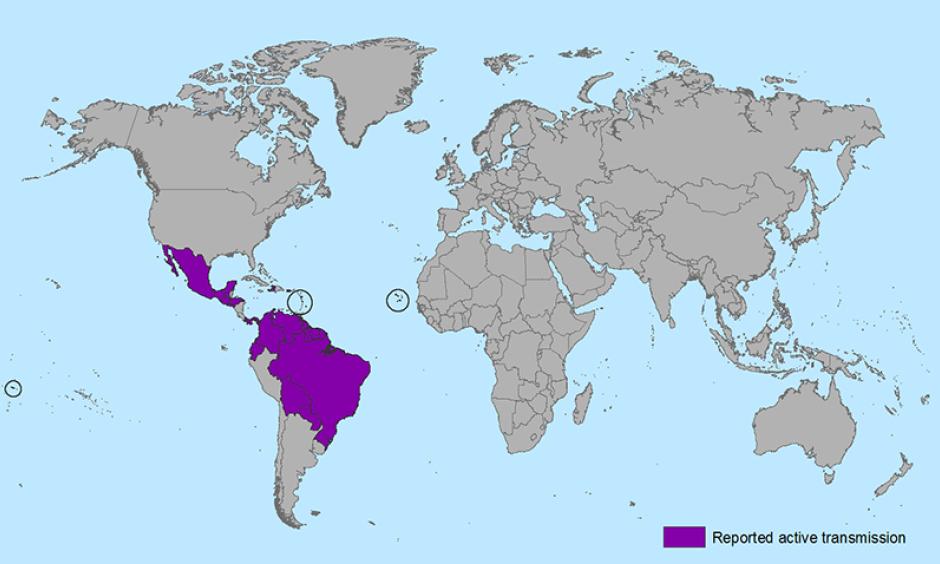 Zika transmission. Photo: Wiki Commons