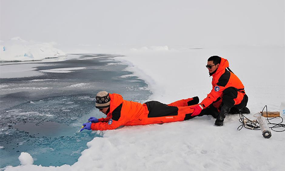 University of Delaware postdoctoral researcher Baoshan Chen (pictured left) takes water samples from a melting pond on ice in the northern Arctic Ocean basin while his Chinese collaborator assists. Photo: Di Qi and Zhongyong Gao, Third Institute of Oceanography, State Oceanic Administration of China.