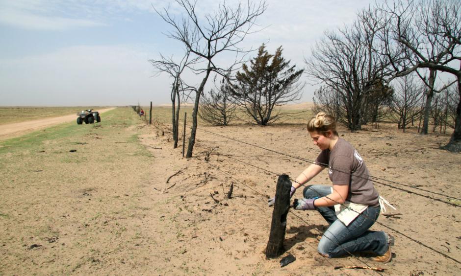 In this March 22, 2017 file photo, Kansas State student Reagan Butler and others from a Manhattan youth group help remove damaged fencing over thousands of acres in fire-ravaged Clark County, Ark. The Western mountains are flush with snow and California has canceled its drought emergency, but some farmers and ranchers on the high plains are struggling amid a lengthy dry spell and the aftermath of destructive wildfires. Photo: Michael Pearce, The Wichita Eagle via AP