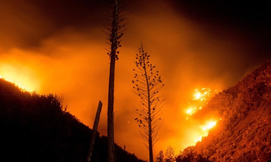 The Blue Cut fire burns in Upper Lytle Creek near Wrightwood, Calif., on Friday. Photo: Noah Berger, AP