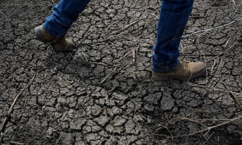 A dried-up ditch at a rice farm in Richvale, California. Credit: JAE C. HONG