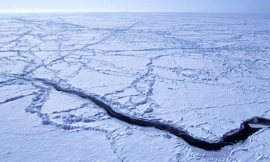 Models Coming into Agreement on Widespread Effects of Arctic Sea Ice