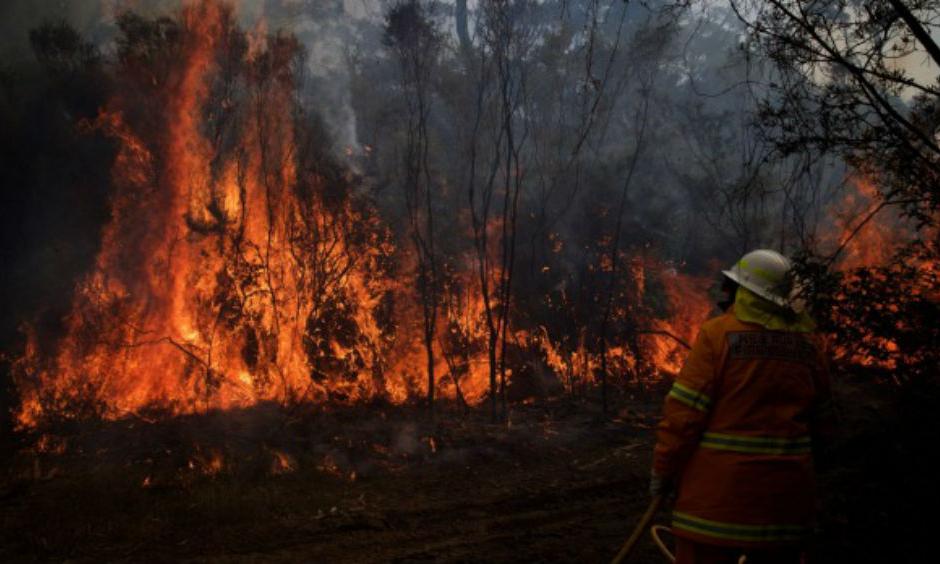 NSW Rural Fire Service crews struggle to contain an out of control bushfire around the Wentworth Falls escarpment in August. Photo: Wolter Peeters