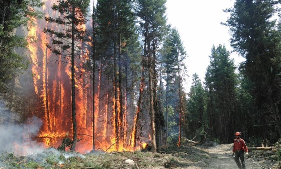 Tinder dry weather, wind and dry lightning have caused fires to spread aggressively in the province. Photo: B.C. Wildfire Service