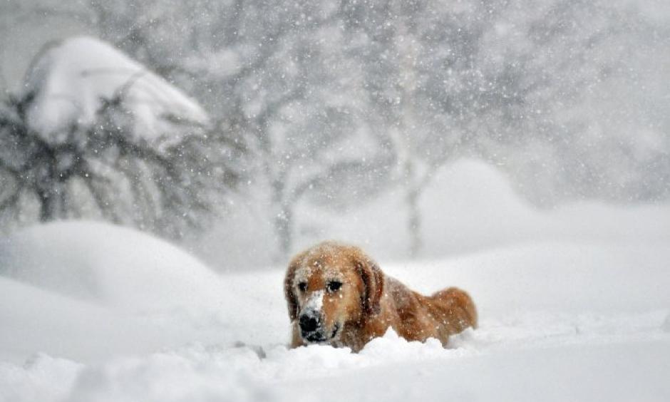 Lake Effect. Image: Discovery News