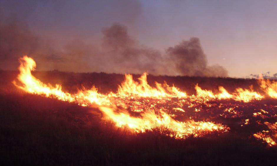 Photo: Wikipedia