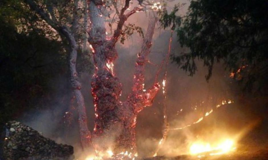 The fast-moving Butte Fire burning in Amador and Calaveras counties has gotten away from firefighters and continues to rip through thousands of acres of trees and dry brush amid multiple days of triple-digit temperatures. (Sept. 10, 2015) Claire Doan/KCRA