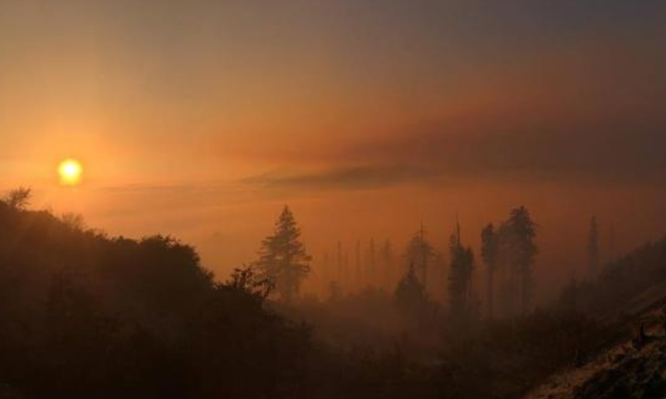Photo: Cal Fire