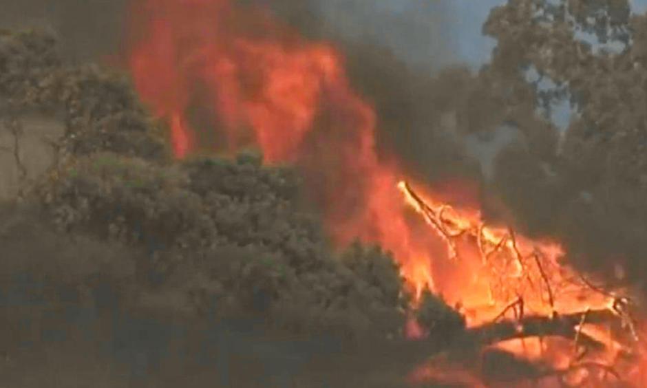 A fast-moving blaze dubbed the Sawmill Fire burns through brush and trees in Sonoma County, Calif., about 10 miles east of Cloverdale, Sept. 25, 2016. Photo: CBS San Francisco