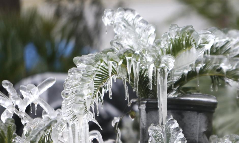 Photo: Patti Blake, News Herald via AP