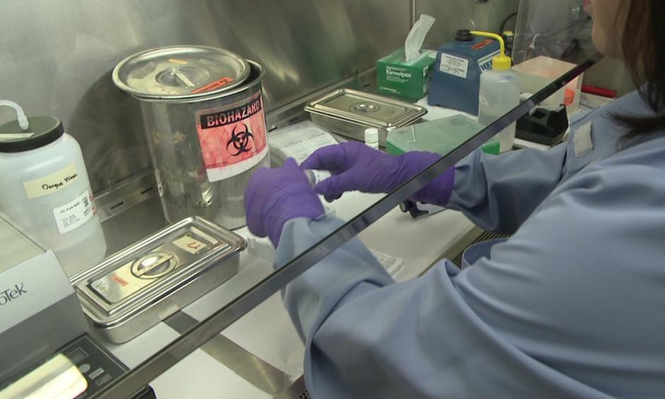 Dengue Fever lab test. Photo: KHON2