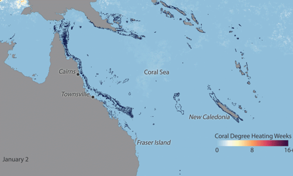 Thermal stress around the Great Barrier reef from January-March 2017. NOAA Climate.gov image by Dan Pisut, based on NOAA Coral Reef Watch maps.