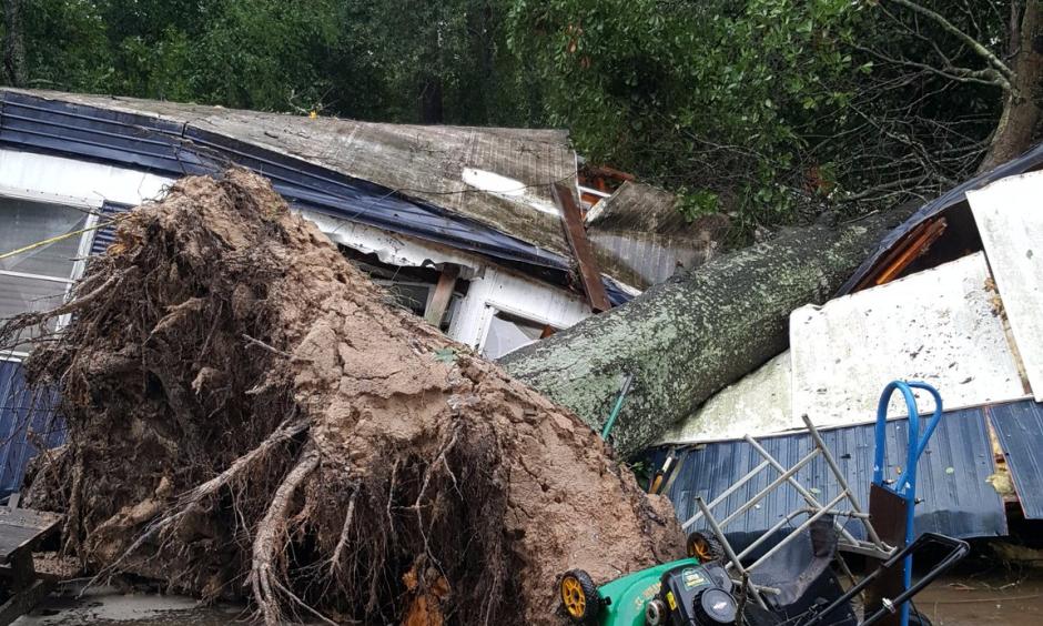 The sheriff’s office confirmed Monday afternoon a 60-year-old woman was killed when a tree fell on her home as she slept. Photo: MCSO