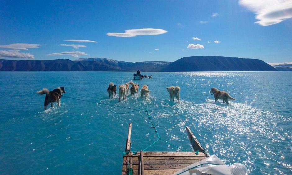 Steffen Olsen, an Arctic researcher with the Danish Meteorological Institute, and dogs set out to retrieve oceanographic moorings and a weather station over meltwater topping sea ice in northwest Greenland on Thursday. Photo: Steffen Olsen