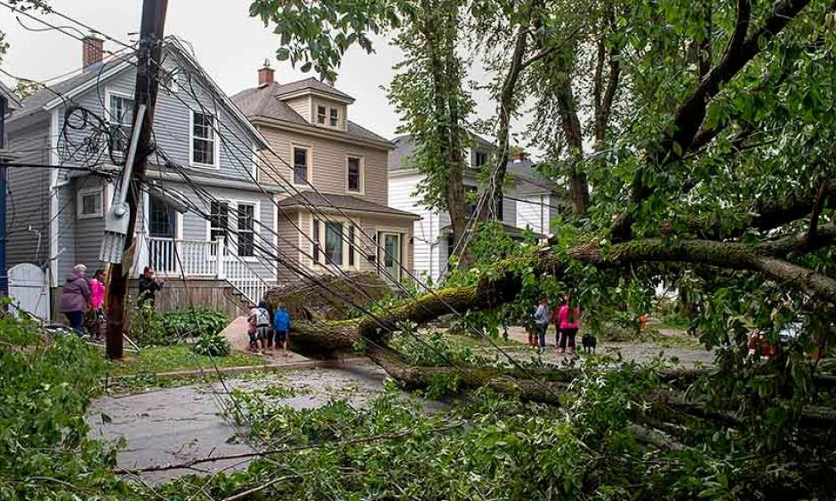 A street is blocked by fallen trees as a result of Hurricane Dorian pounding the area with heavy rain and wind in Halifax, Nova Scotia, on Sunday, Sept. 8, 2019. Credit: Andrew Vaughan/The Canadian Press via AP