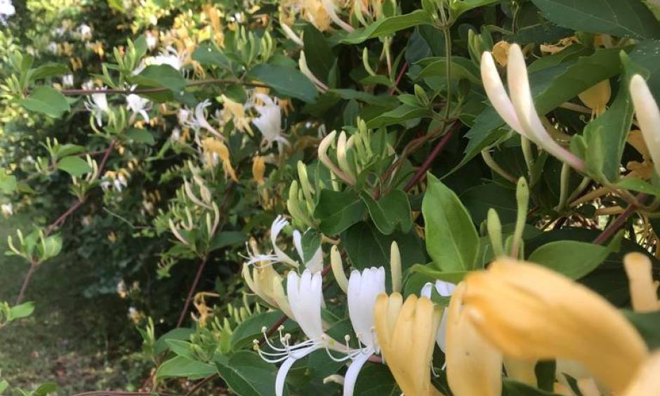 Climate change is creating earlier and warmer springs